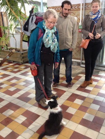 Le comité de départ