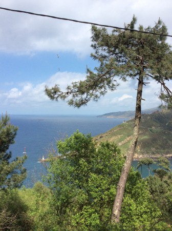 On a grimpé comme des fous! 